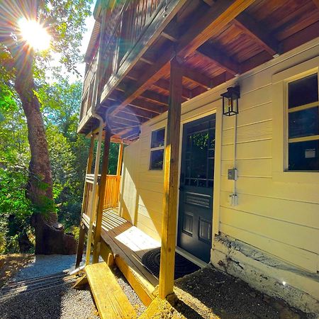 Private Wine Country-River Bungalow! Sunny Treetop Views - Pets Stay Free Forestville Exterior photo